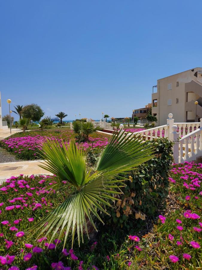 Casa Baja Naturista Con Patio En Primera Linea De Playa Con Piscina Comunitaria! Vera Exterior photo