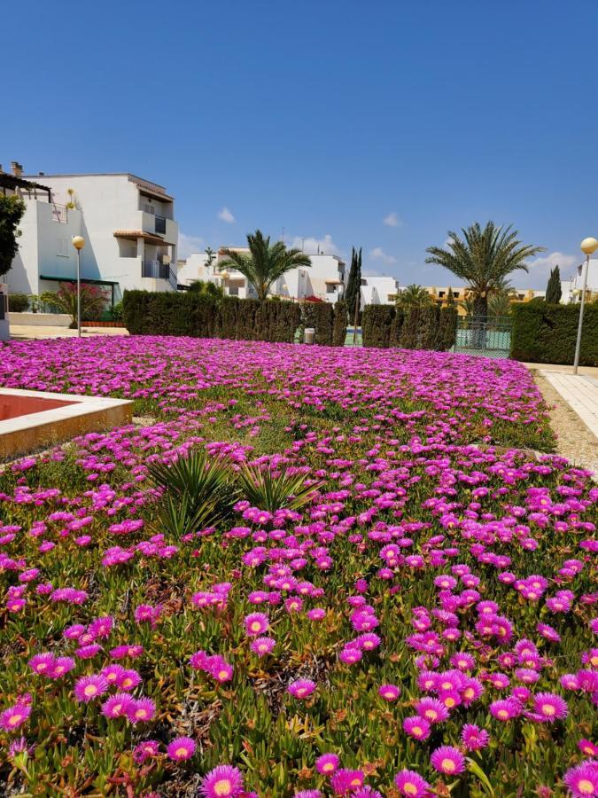 Casa Baja Naturista Con Patio En Primera Linea De Playa Con Piscina Comunitaria! Vera Exterior photo